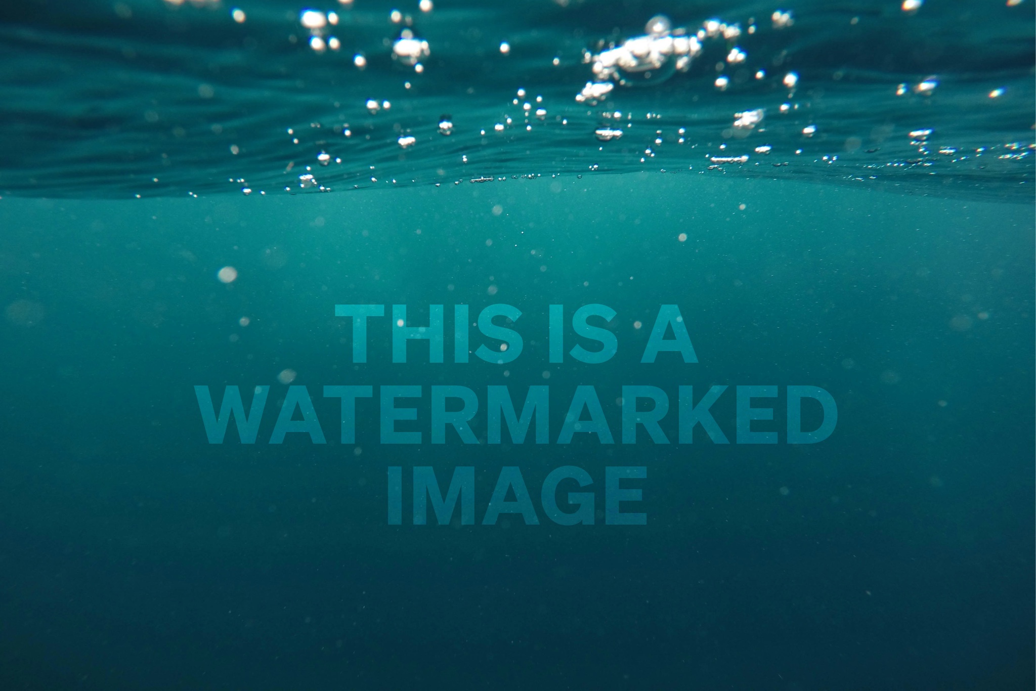 Watermarked image